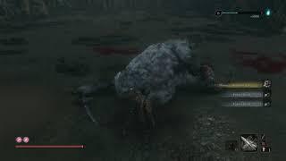 I had to kill this thing 5 times...