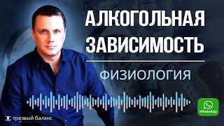 Алкогольная зависимость.  Привычки, тренировки и питание.  Выход в трезвость.