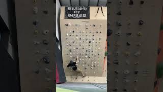 “Bird Crimps 1” | MoonBoard Benchmark V10