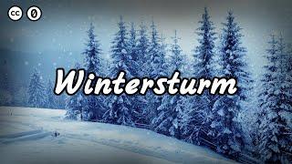 Wintersturm Geräusche (Kalter & heulender Wind | Gemeinfreie Sounds) #2