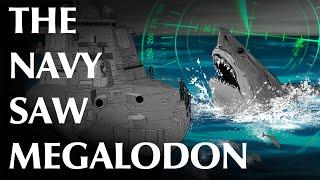 USN Petty Officer and Others Report Megalodon Sightings