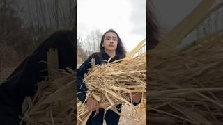 Village Life: Uyghur Girl Prepares Sheep Feed with Fresh Farm Turnips