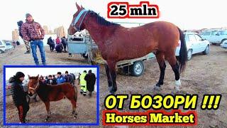 ОТ БОЗОРИ OT BOZORIXAREZM URGENCH HORSES MARKET UZBEKISTAN. 18-December 2022.year