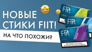 Новые стики Fiit | На что похожи вкусы Regular, Crisp и Viola?