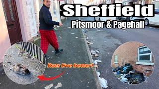 SHEFFIELD - RAT Infested Streets! The People Have Had Enough. (The UK Is Finished)