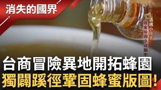 SUB｜控制蜜蜂數量秘密曝!「空運」台灣蜜蜂到清邁 台商養蜂王聊採蜜經 泰北氣候適合龍眼生長! 蜂蜜9成銷中國.台灣 40年前人生地不熟 克服語言不通困境!│【消失的國界】20240910│三立新聞台