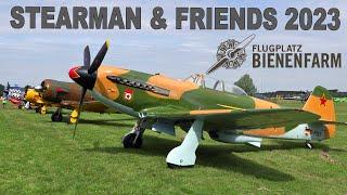 BIENENFARM 2023  - STEARMAN AND FRIENDS - Static Display + some Landings