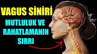 VAGUS SİNİRİ MUCİZESİ - MUTLULUK VE RAHATLAMANIN SIRRI