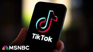 'Going to be disaster' for U.S.: TikTok ban facing backlash from users