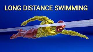 How fast can you swim for a long distance?