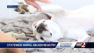 Florida to consider statewide 'animal abuser registry' following Molly's Law in Marion County