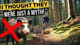 THE FOREST OF DEAN- off piste trails