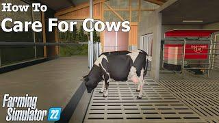 How To | Care For Cows | Farming Simulator 22