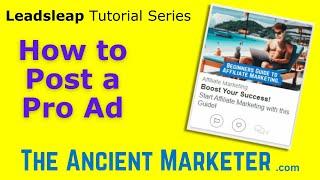 Leadsleap Tutorial 2 - Setting up a Pro Ad.