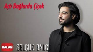 Selçuk Balcı - Açtı Dağlarda Çiçek [ Vargit Zamanı © 2020 Kalan Müzik ]