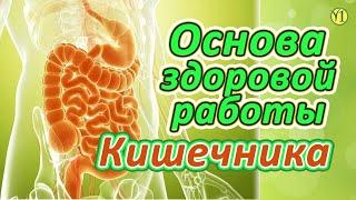 Евгений Агафонов (основатель проекта "Живая Пища"), Основа здоровой работы кишечника (223)