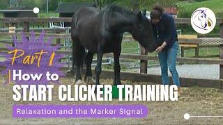 How to Start Clicker Training Your Horse Part 1: Relaxation and the Marker Signal