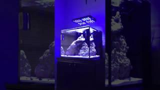 CJ's Aquariums 8k Nano Tank Giveaway