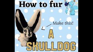 How to fur a skulldog | TophsUniverse