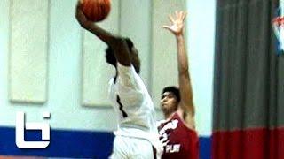 Jaylen Brown Is a Straight BEAST! Athletic Wing Official Mixtape!