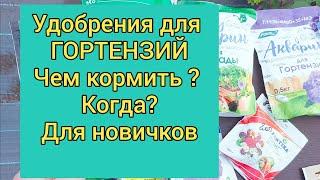 Удобрения. Для новичков. Чем и когда кормить гортензию??.