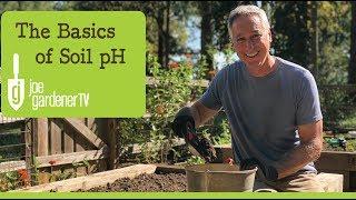 The Basics of Soil pH