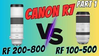 CANON RF 200-800 VS RF 100-500 + 1.4 TC on the Canon R7 ||| WHO WINS?Part 1 of 2