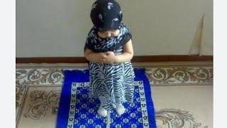 har hal mein padenge namaz# short video#YouTube shots