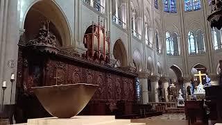 Walk in the rebuilt and reopened Notre Dame Cathedral