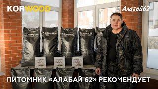 Питомник "Алабай62" рекомендует полнорационный сухой корм для собак KORWOOD (2023)