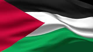 Flag of Palestine - 3D Flag Animation​ - FreeDownload - NoCopyright