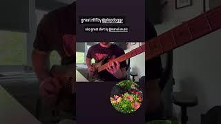 Erick Hansel (betrayflip) - untitled riff #guitar #mathrock #chon #music