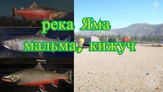 Трофейная Мальма, Кижуч, Кета на р.Яма - русская рыбалка 4