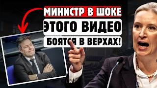 ФРАУ ВАЙДЕЛЬ ДЕЛАЕТ ХАБЕКА ПОСМЕШИЩЕМ ЭТО НУЖНО УВИДЕТЬ!