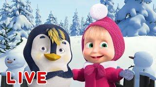 Masha and the Bear ️ LIVE STREAM ️ TOP 2019 Episodes  Cartoon live best episodes