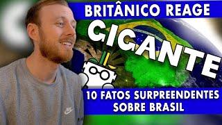 GRINGO BRITÂNICO REAGE  | 10 FATOS SURPREENDENTES SOBRE BRASIL 