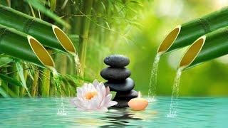 Relaxing Music with the Sounds of Nature Bamboo Water Fountain [Healing Music BGM]