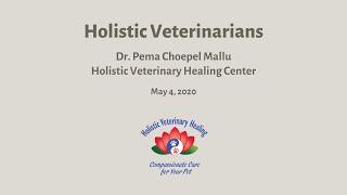 Veterinarian  Advice , Holistic Veterinary Dr. Pema Choepel Mallu , Holistic Veterinary Healing Cen.