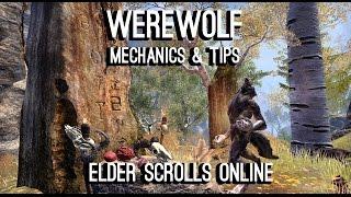 Werewolf Guide for ESO