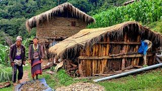 Happy life | The organic food Cooking | traditional Village life Nepal | Nepali Village Life