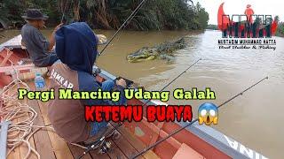 Ketemu Tiga Buaya Sa'at Pergi Mancing Udang Galah‼️ Bersama Mertua