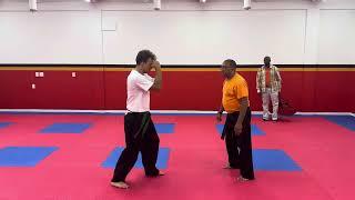 Shaolin Kempo Dragon- Iron Dragon