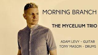 Morning Branch - Dan Loomis' Mycelium Trio with Adam Levy and Bill Campbell