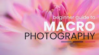 Getting Started Guide to MACRO PHOTOGRAPHY