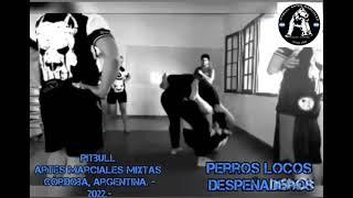 PITBULL ARTES MARCIALES MIXTAS CÓRDOBA ARGENTINA. SEDE DESPEÑADEROS.-