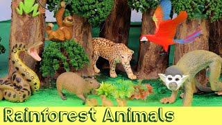 Meet the Amazon Jungle Animals | DIY Diorama