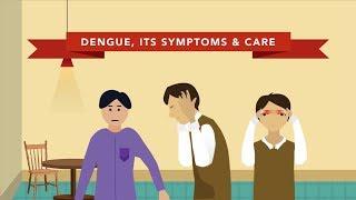 The Symptoms of Dengue