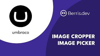 Image Cropper & Image Picker - Umbraco 12 Tutorial