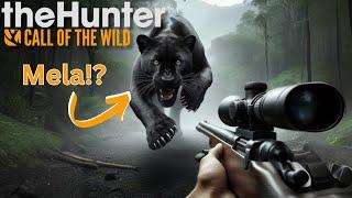 Mythical Melanistic Puma With a Diamond Elk!!! (Insane Rare) | theHunter: Call of the Wild