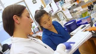 Animal Research Training Videos Increase Productivity & Safety in UCLA Lab